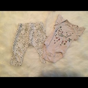 Baby girl cat on roller skates outfit